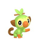 Grookey Image