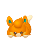 Pawmi Image