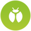 BUG Type