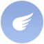 FLYING Type