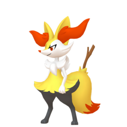 Braixen Image